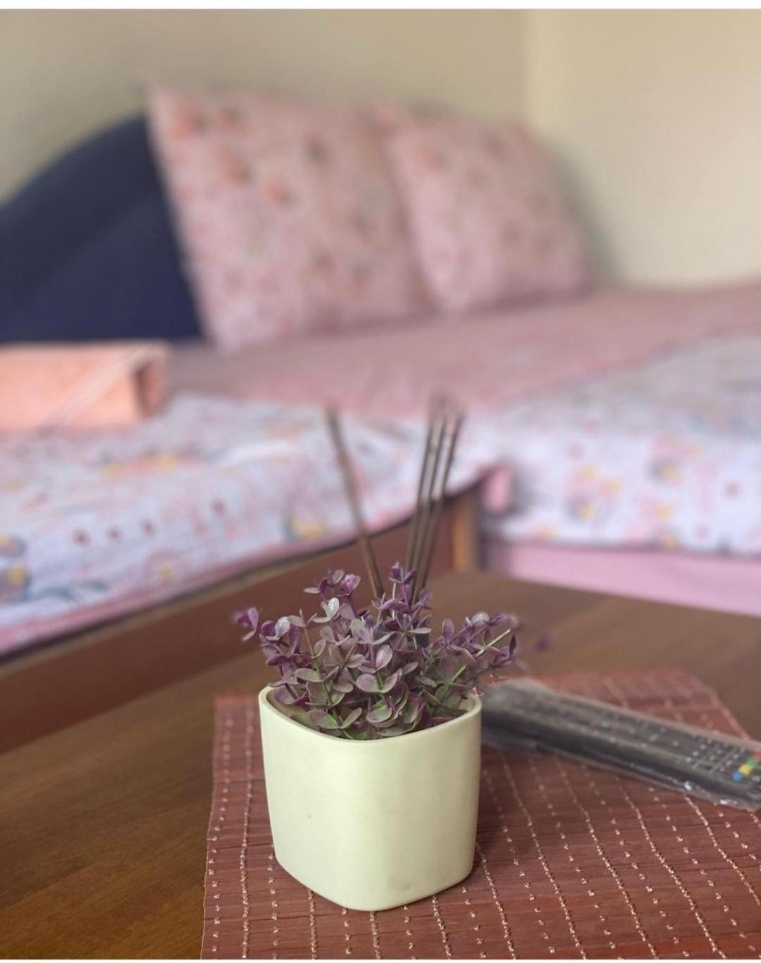 Guest House Zarnovel Palace オフリド エクステリア 写真